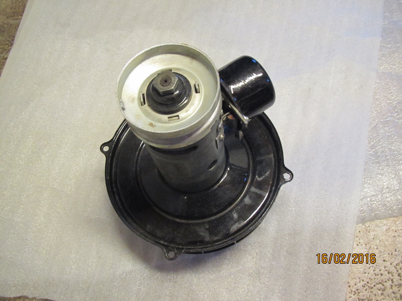 IMG_5441 (1280x960).jpg, 615.84 kb, 1280 x 960