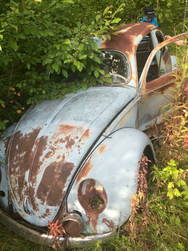 image.jpeg, 222.29 kb, 720 x 960