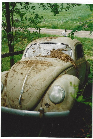 utrullad2.jpg, 176.41 kb, 322 x 481