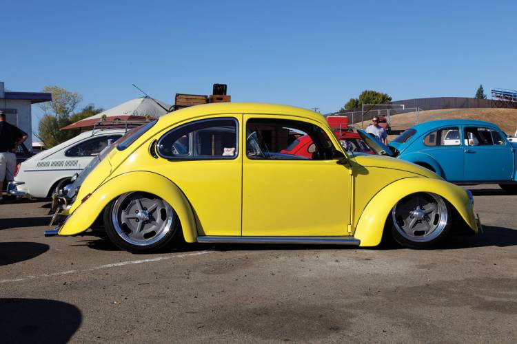 bug20_photo16_960px.jpg, 50.15 kb, 750 x 500