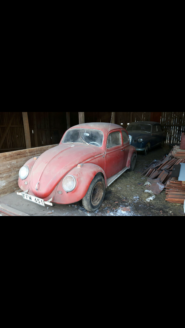 image.png, 559.41 kb, 640 x 1136