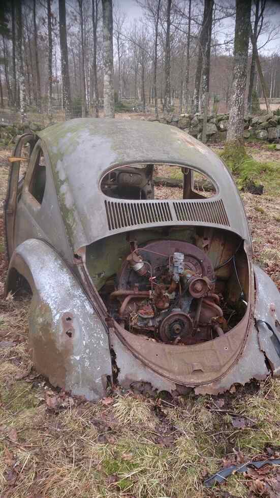 IMG_4786[1].JPG, 81.38 kb, 551 x 980