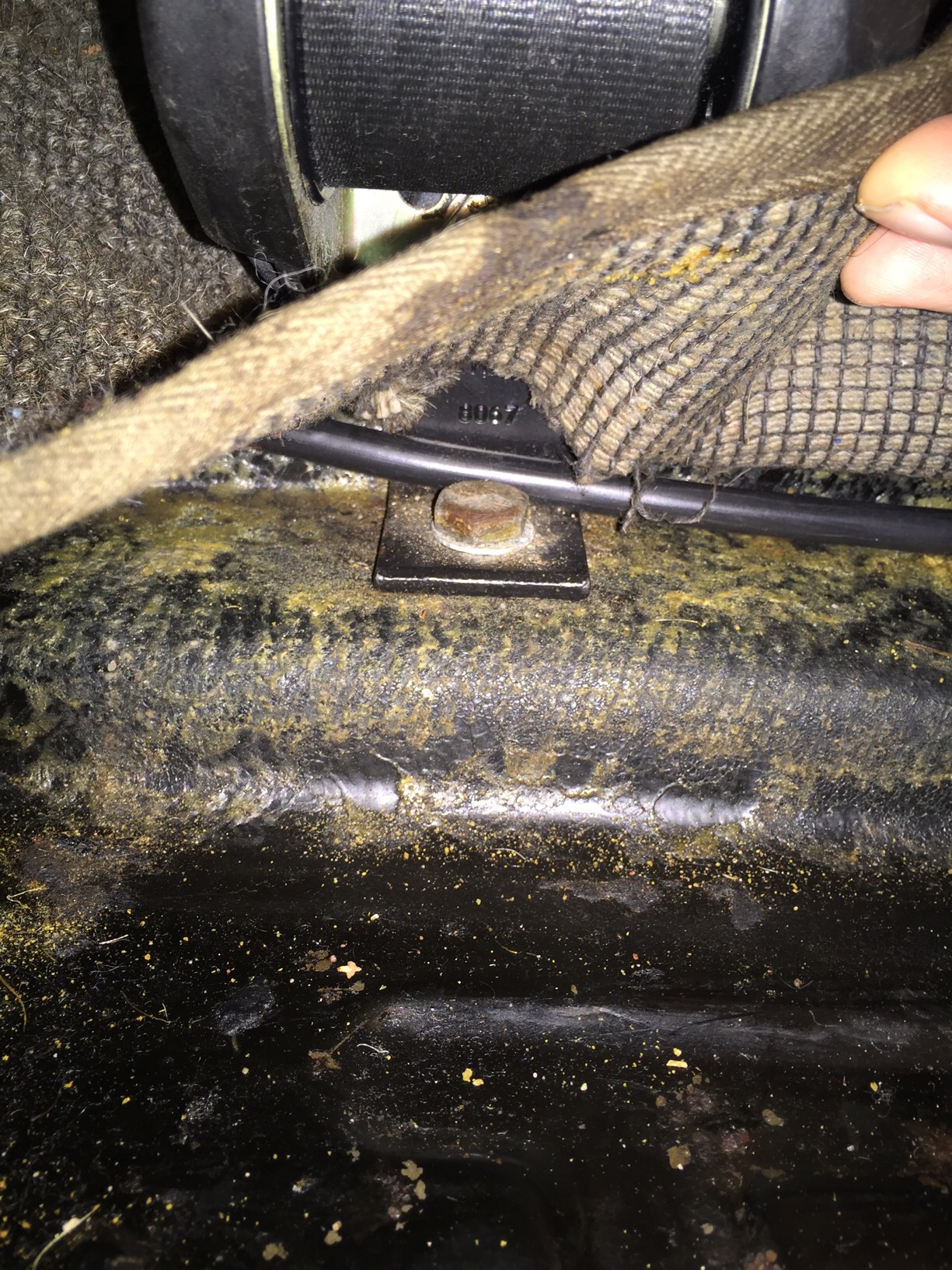 image.jpeg, 747.85 kb, 1225 x 1633