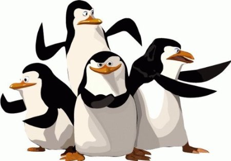 mm.jpg, 20.8 kb, 450 x 314