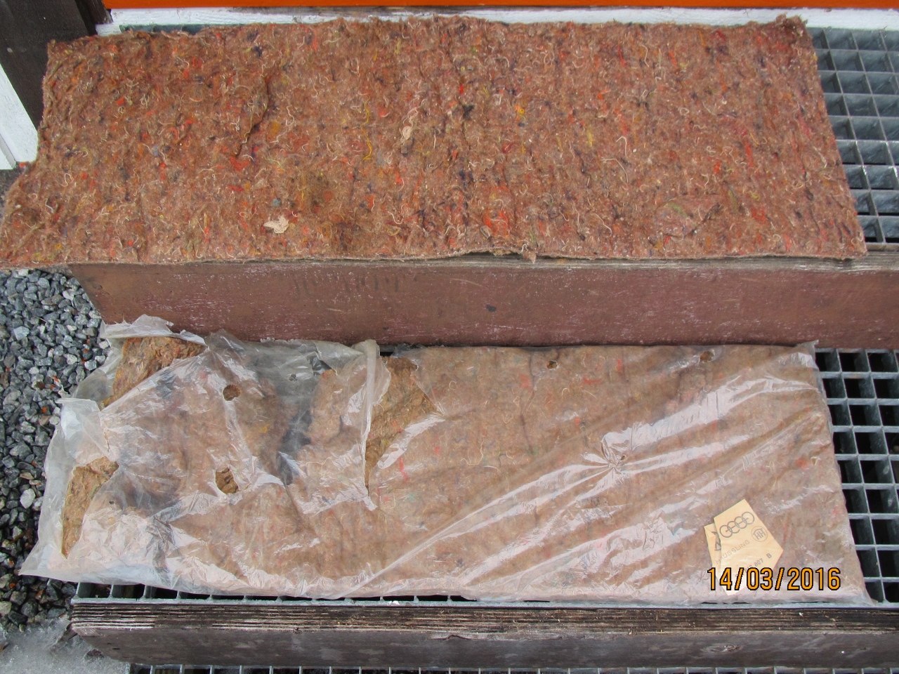 IMG_5526 (1280x960).jpg, 819.31 kb, 1280 x 960