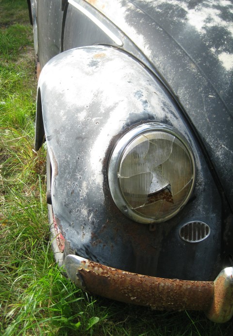 IMG_8019b (Small).jpg, 115.95 kb, 480 x 692