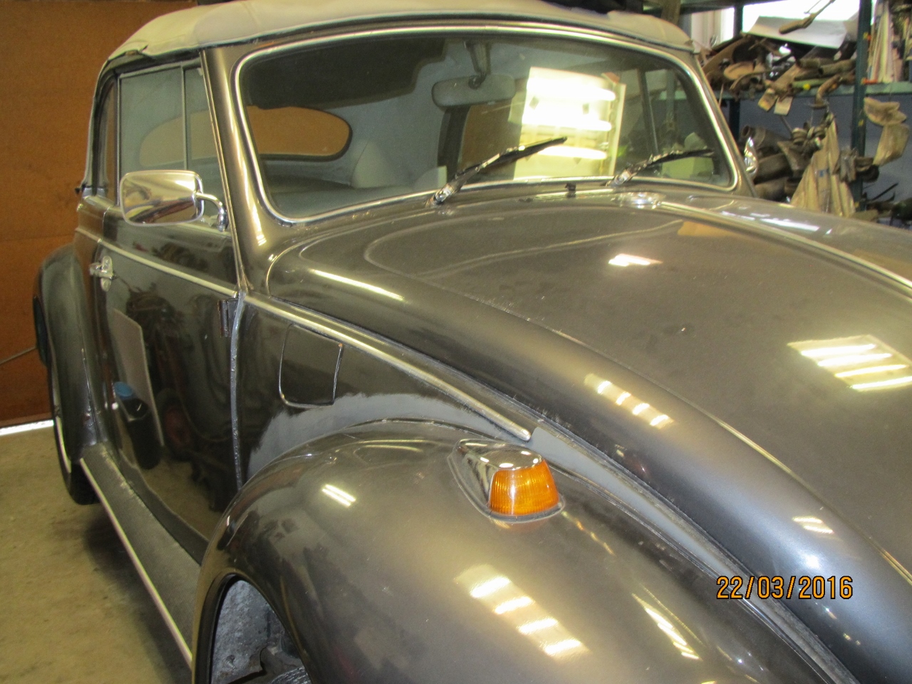 IMG_5610 (1280x960).jpg, 592.11 kb, 1280 x 960