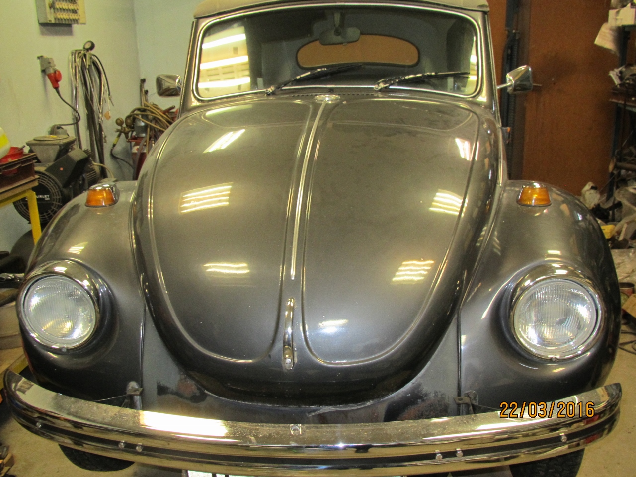 IMG_5609 (1280x960).jpg, 645.34 kb, 1280 x 960