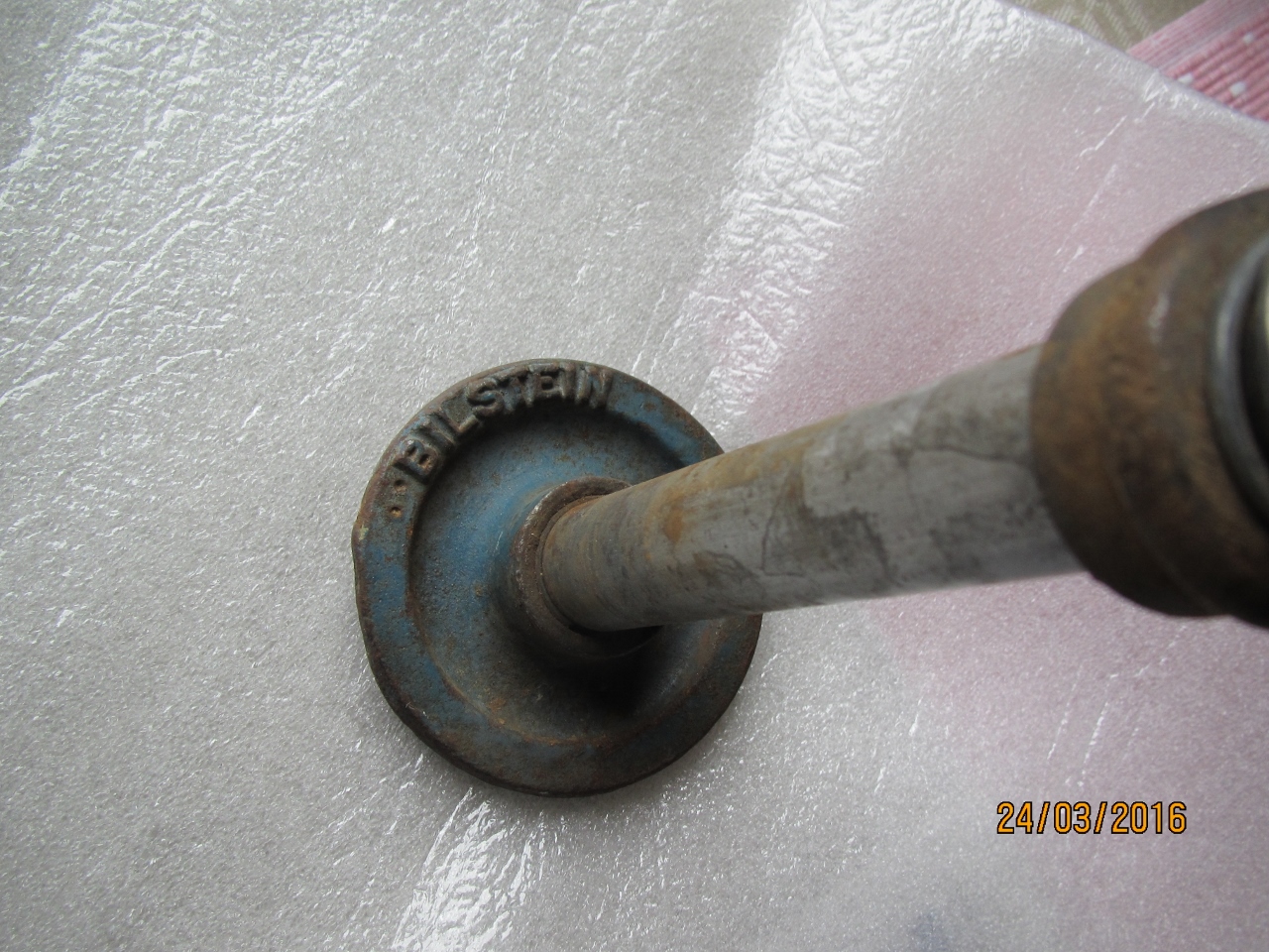 IMG_5630 (1280x960).jpg, 687.59 kb, 1280 x 960