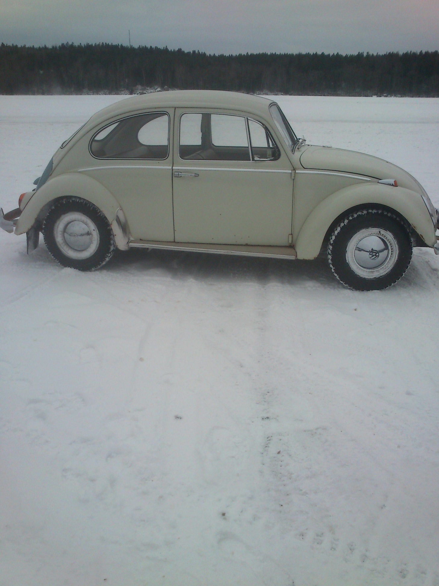 DSC_0042.JPG, 502.48 kb, 1458 x 1944