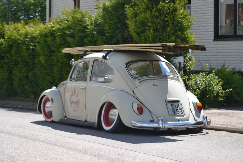 trall.jpg, 216.24 kb, 800 x 533