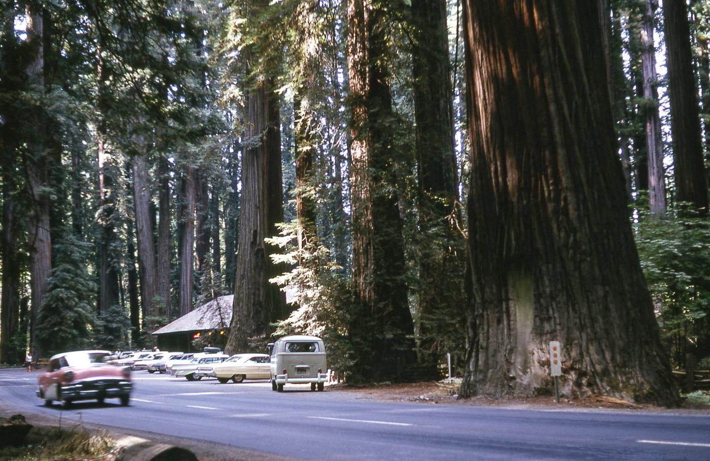 1435350.jpg, 229.27 kb, 1400 x 909