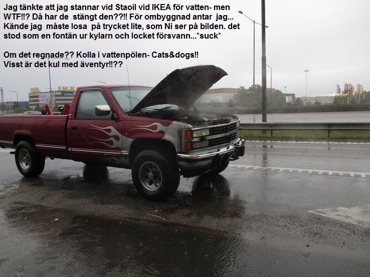 Liten vecka 5.5.jpg, 177.92 kb, 738 x 553