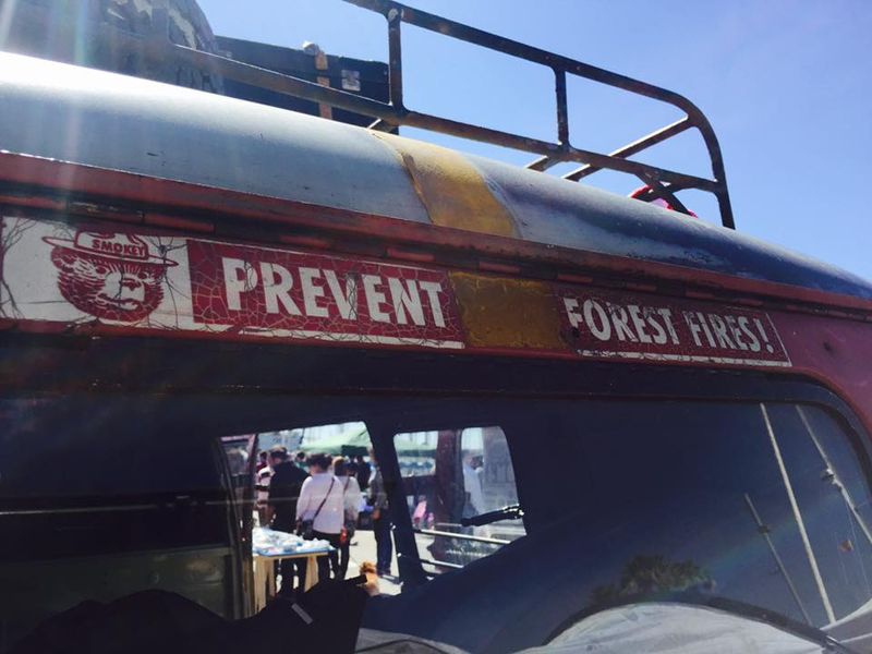 12990839_10207915723425130_517527473172142725_n.jpg, 166.83 kb, 800 x 600