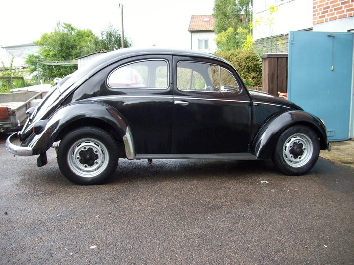 310690_10150293169073493_569048492_7720527_4365705_n.jpg, 107.83 kb, 720 x 540