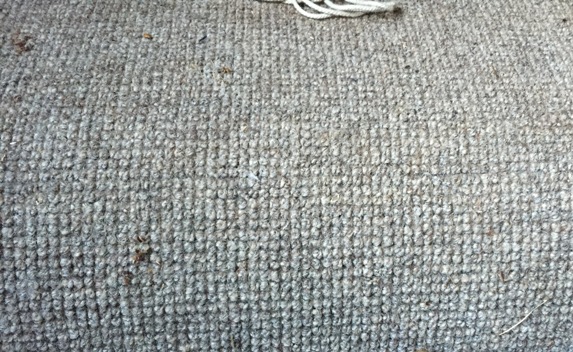 IMG_4999[1].JPG, 128.63 kb, 573 x 352