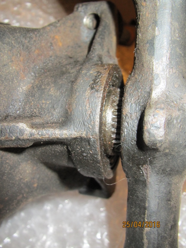 IMG_5720 (600x800).jpg, 276.4 kb, 600 x 800