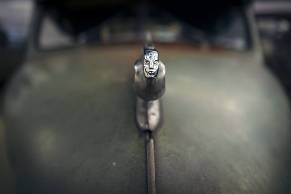 11742673_1170363226324137_7519444367276420259_n.jpg, 26.19 kb, 960 x 640