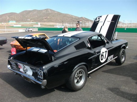 1967_Ford_Mustang_Fastback_Vintage_Sticker.jpg, 93.92 kb, 580 x 435