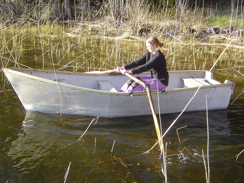 008.JPG, 292.42 kb, 794 x 595