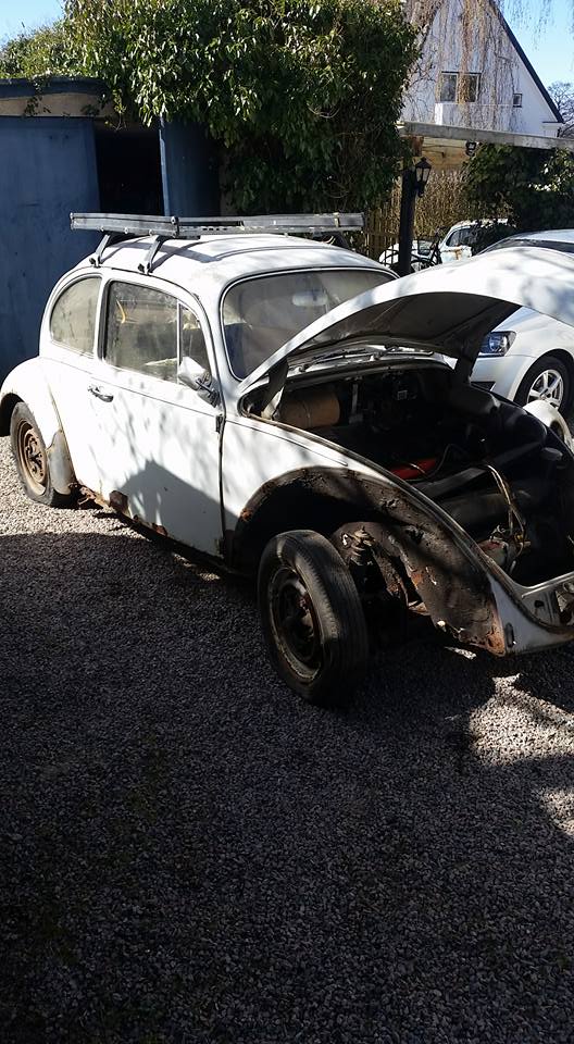 13096311_10154138661381796_2715561822798238148_n.jpg, 109.08 kb, 528 x 960