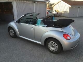 IMG_4042_resized.jpg, 32.95 kb, 320 x 240