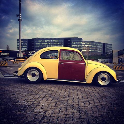 13173713_1112139895508961_4503336753094154528_n.jpg, 53.65 kb, 480 x 480