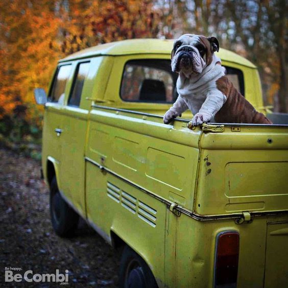 2671764e7617c5083c5a89969dcb8154.jpg, 56.03 kb, 564 x 564