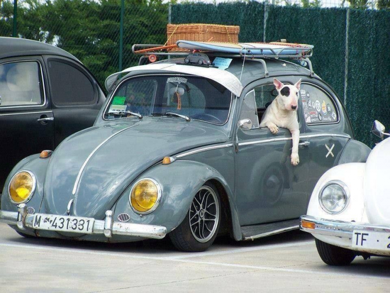 1288443814.JPG, 369.84 kb, 800 x 600