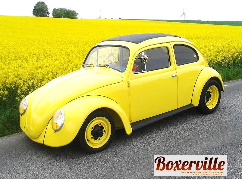 VW Raps.jpg, 106.78 kb, 803 x 595