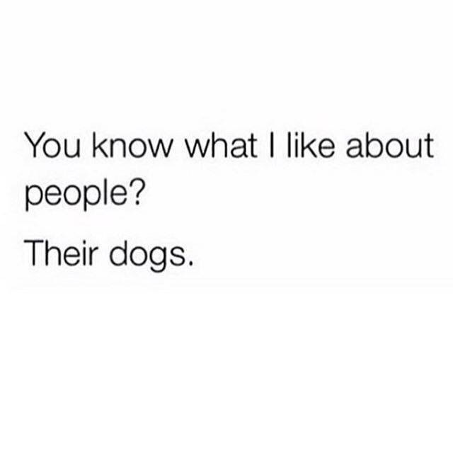 tumblr_o7k2caB72P1udjhfoo1_1280.jpg, 26.82 kb, 640 x 640