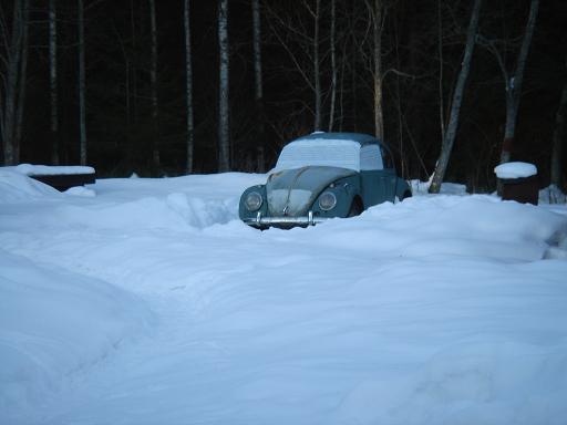 kall.JPG, 28.88 kb, 512 x 384