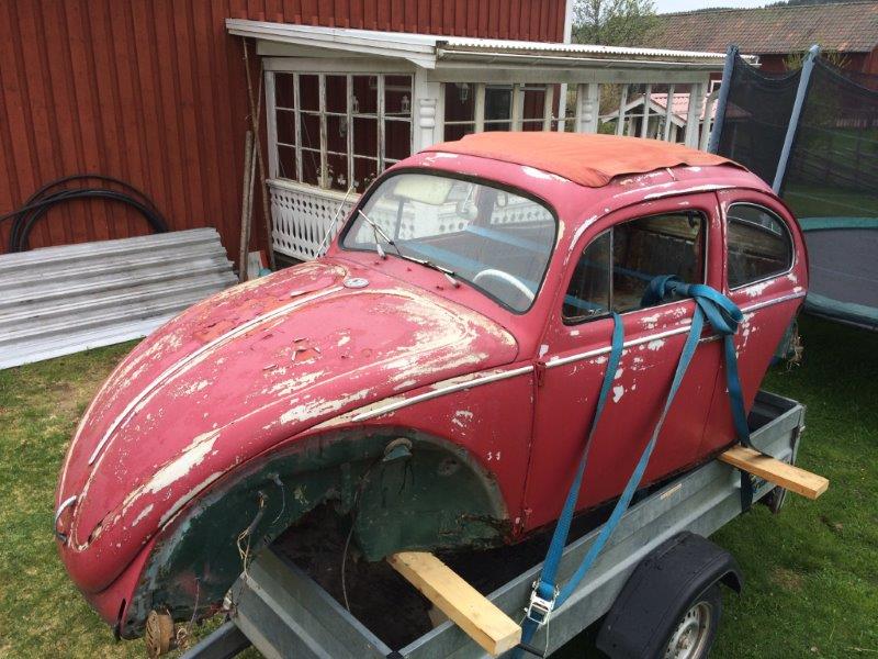 IMG_3864.jpg, 98.36 kb, 800 x 600