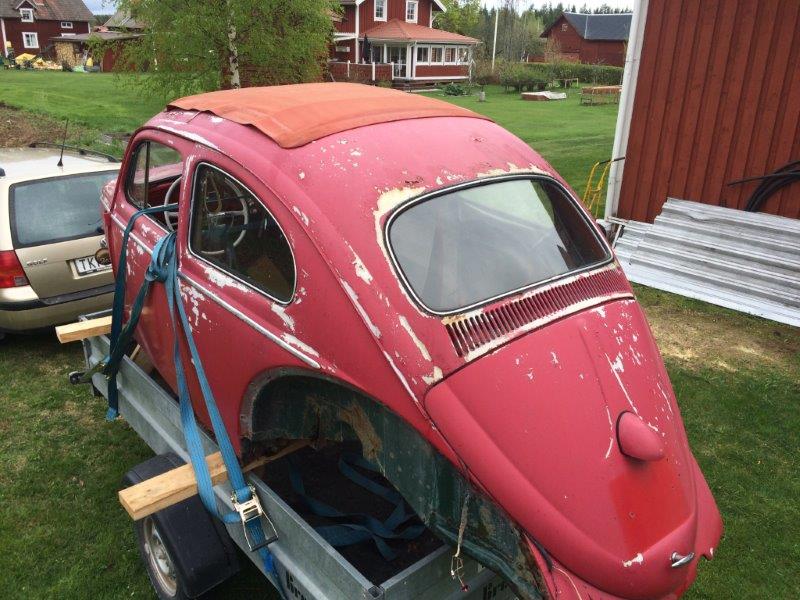 IMG_3865.jpg, 96.47 kb, 800 x 600