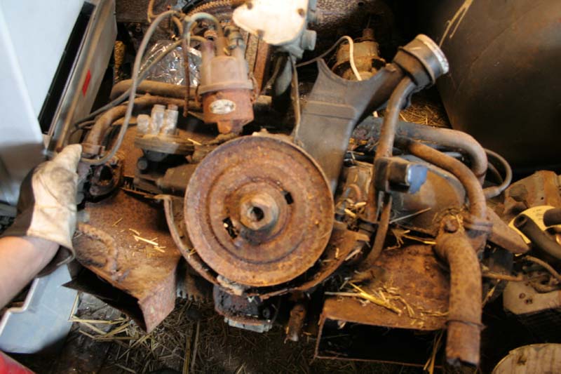 IMG_5975.jpg, 89.4 kb, 800 x 533