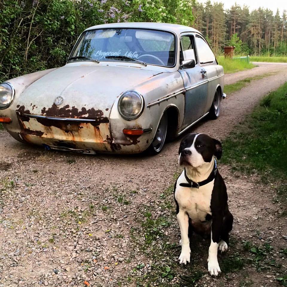 13315409_10209615179995691_166740972898496068_n.jpg, 189.63 kb, 960 x 960