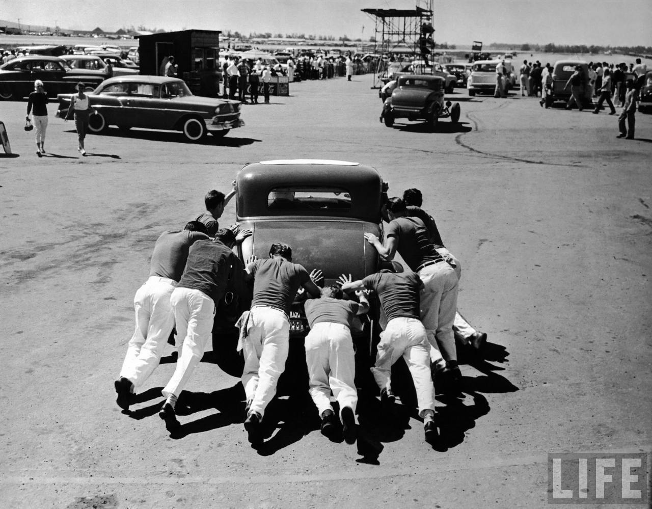 tumblr_o516wfNhce1v5jvv1o1_1280.jpg, 176.47 kb, 1280 x 999