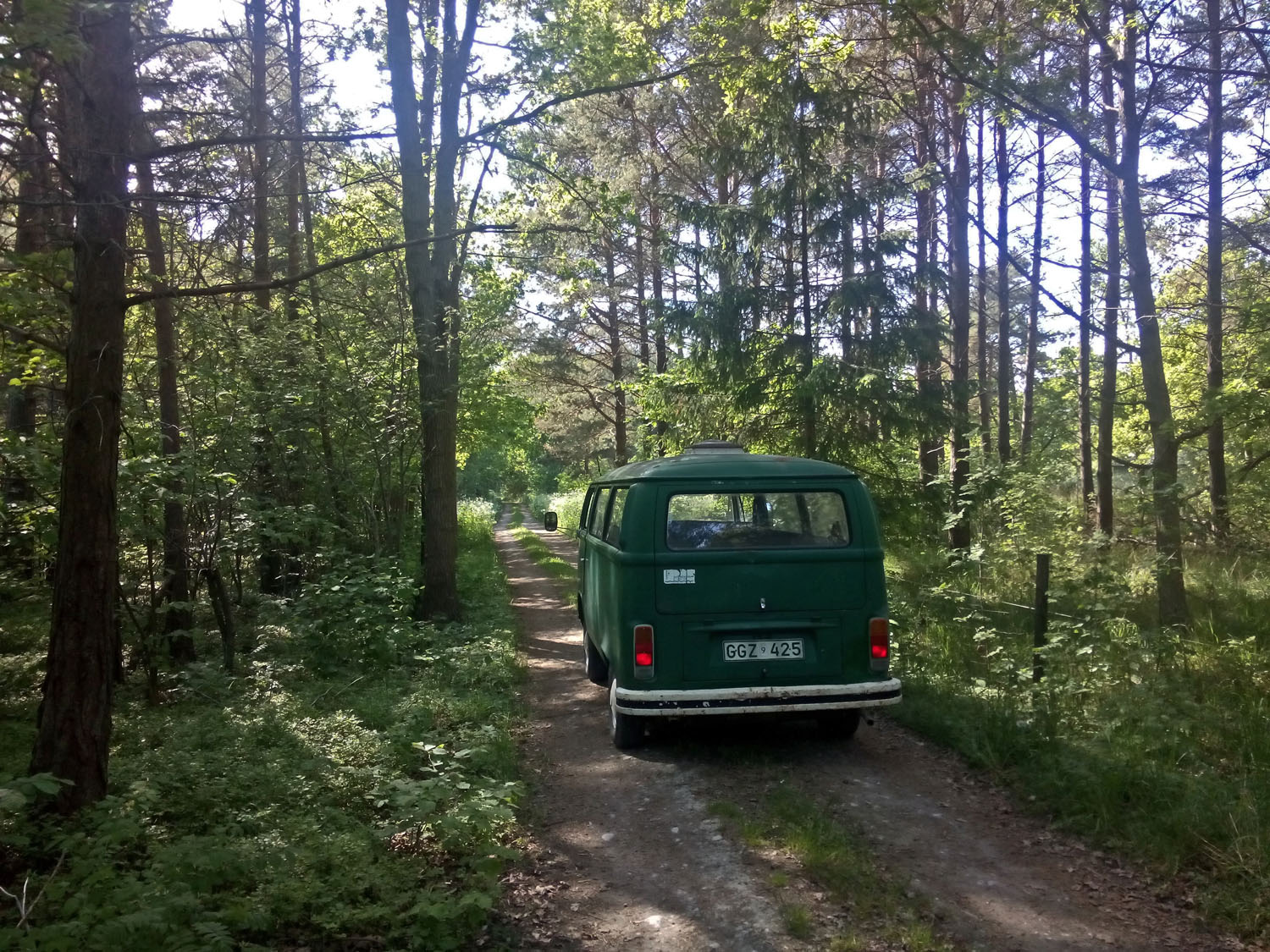 IMG_20160602_154938.jpg, 518.98 kb, 1500 x 1125