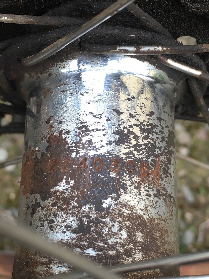 IMG_7405.JPG, 299.22 kb, 666 x 888