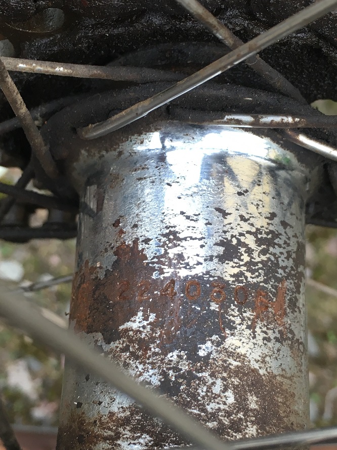 IMG_7406.JPG, 281.62 kb, 666 x 888