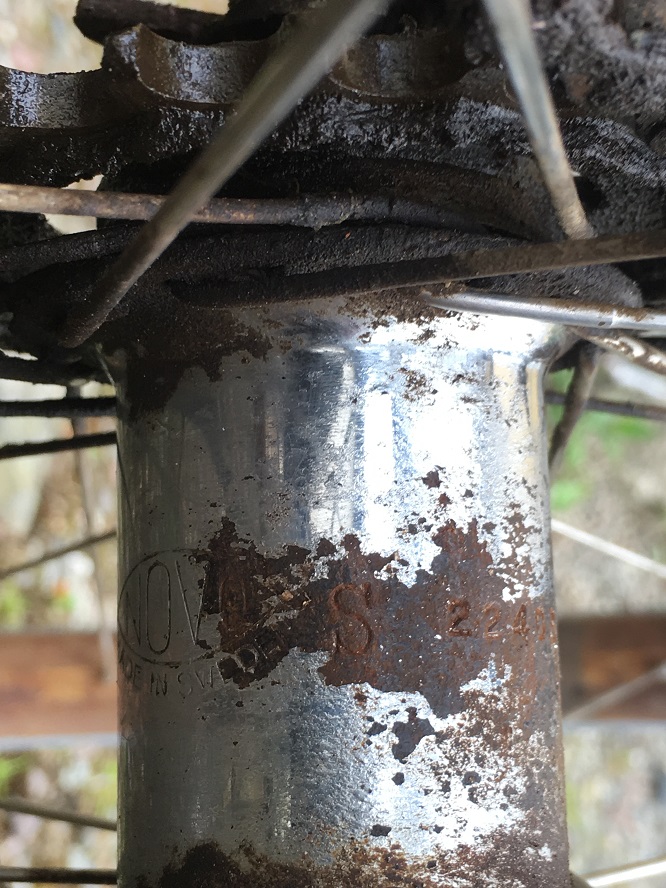 IMG_7407.JPG, 261.42 kb, 666 x 888