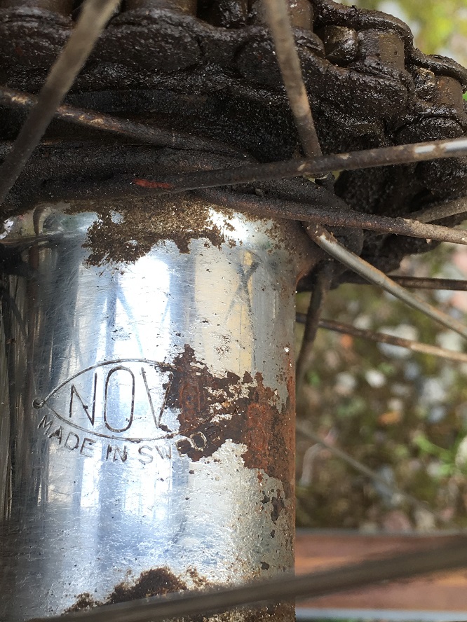 IMG_7408.JPG, 285.5 kb, 666 x 888