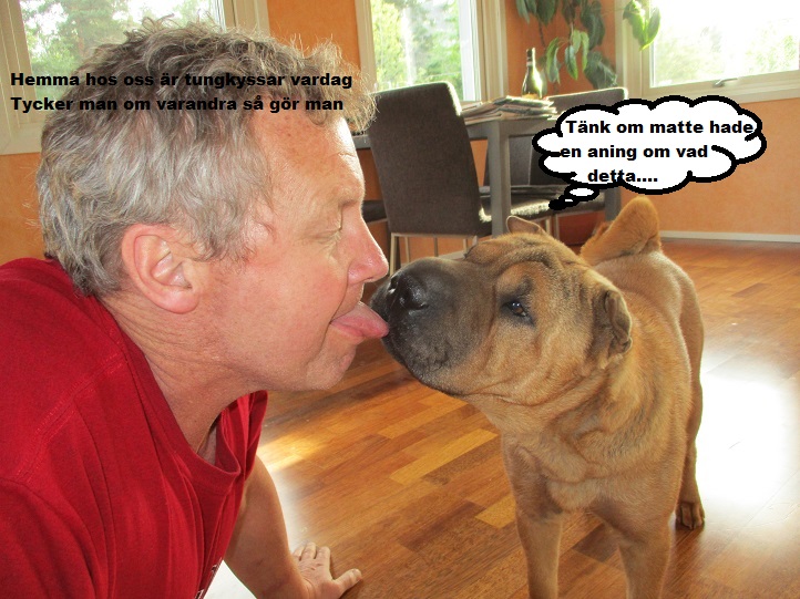 Liten vecka 8.jpg, 171.94 kb, 722 x 541