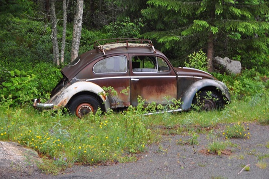 DSC_0184.JPG, 155.29 kb, 536 x 356