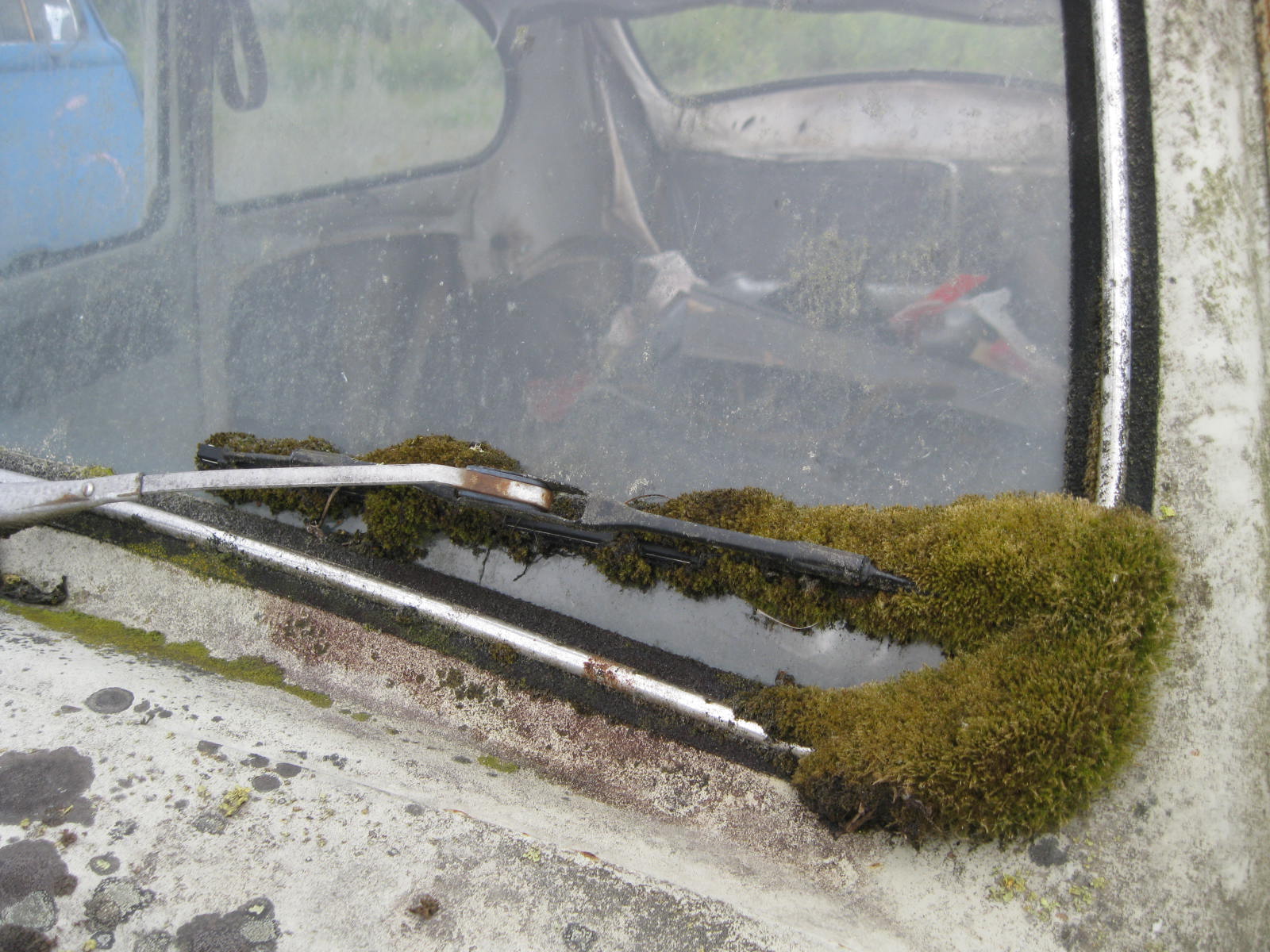 IMG_8877.JPG, 306.41 kb, 1600 x 1200