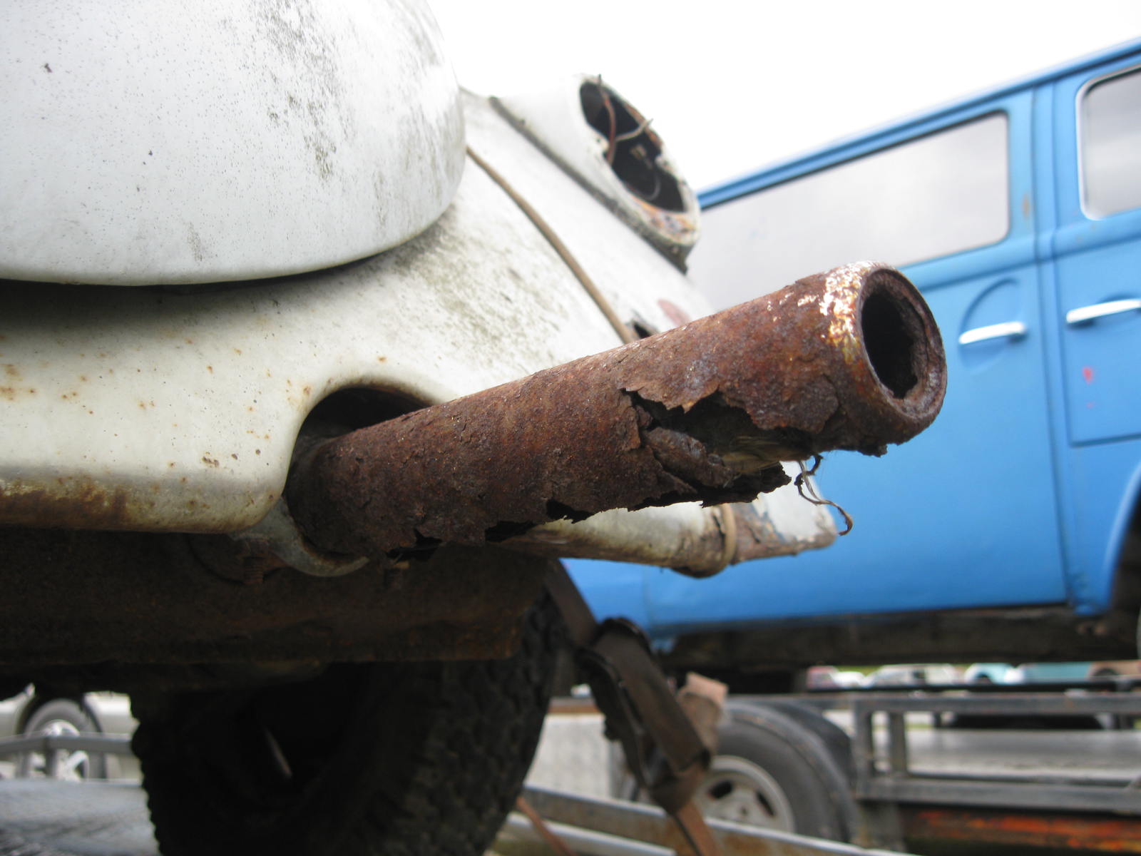 IMG_8879.JPG, 165.33 kb, 1600 x 1200