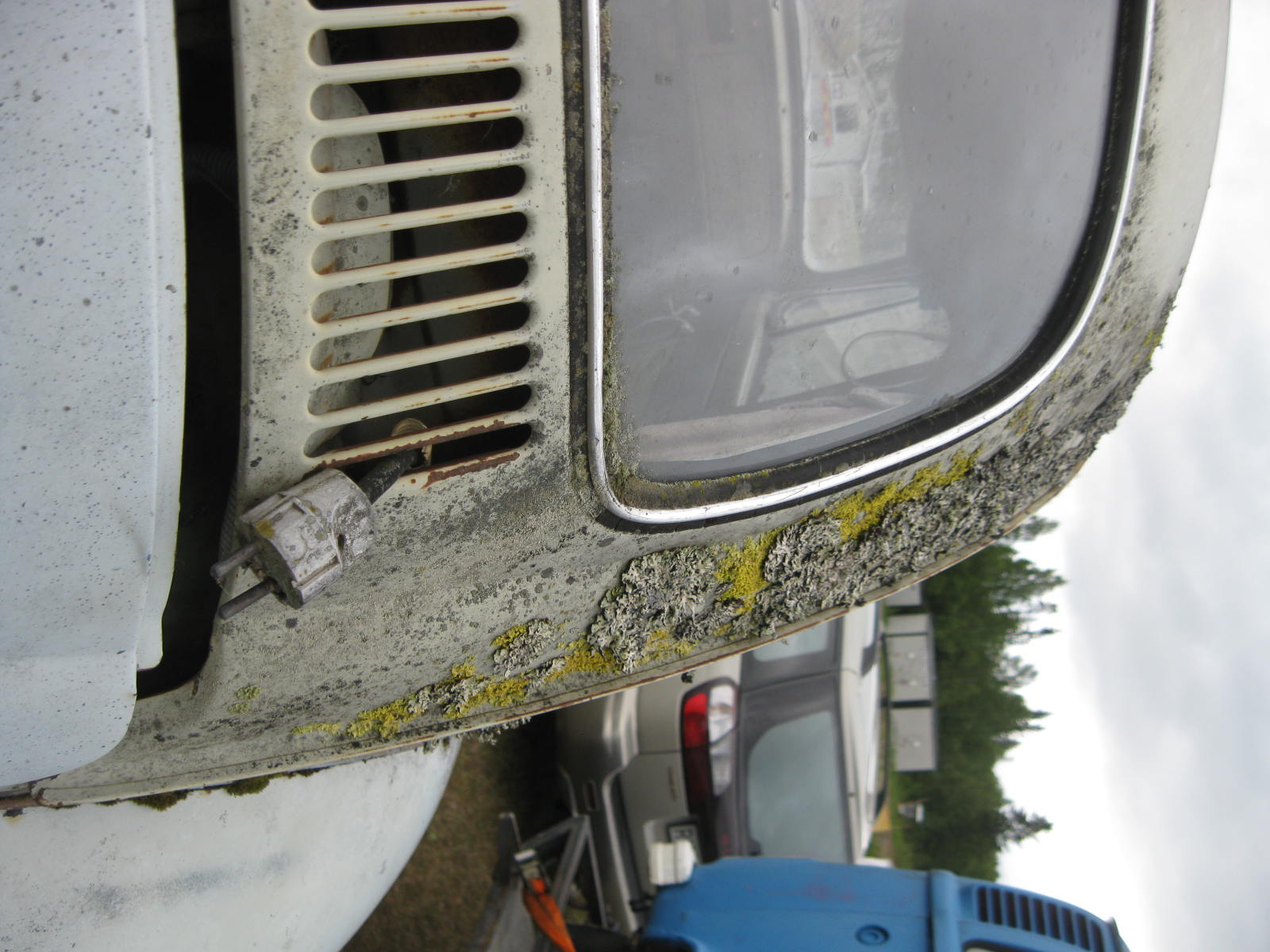 IMG_8882.JPG, 221.22 kb, 1600 x 1200