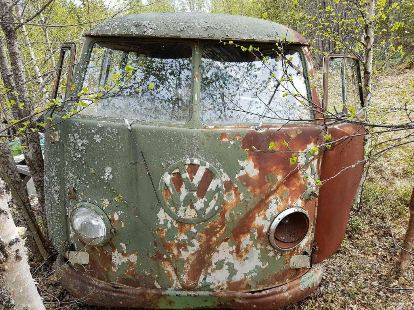 received_1366850469997862.jpeg, 346.08 kb, 1440 x 1080