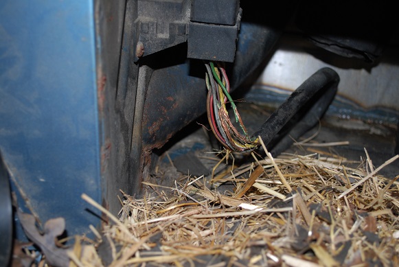 DSC_0194.JPG, 118.37 kb, 581 x 389