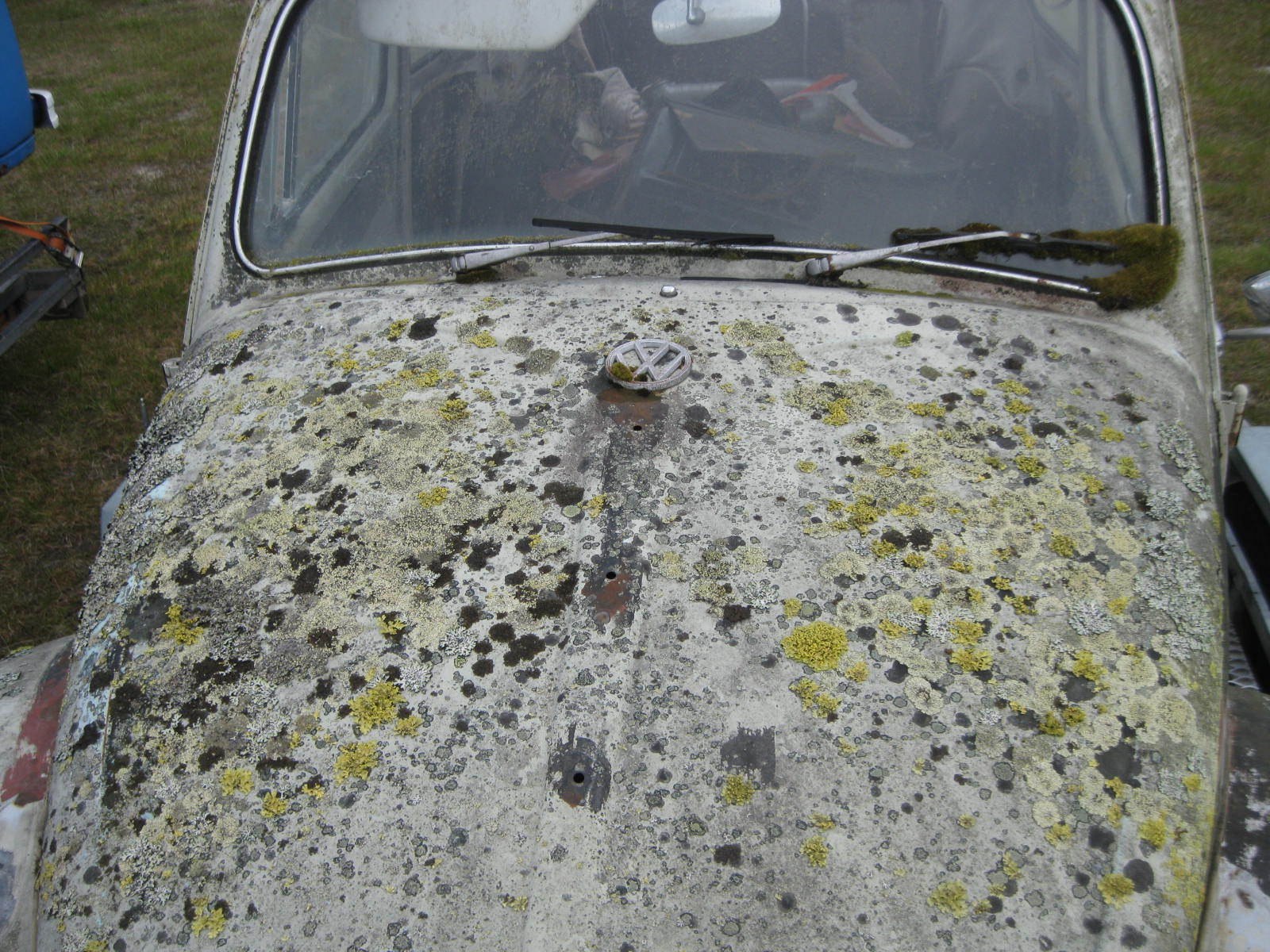 IMG_8878.JPG, 404.47 kb, 1600 x 1200